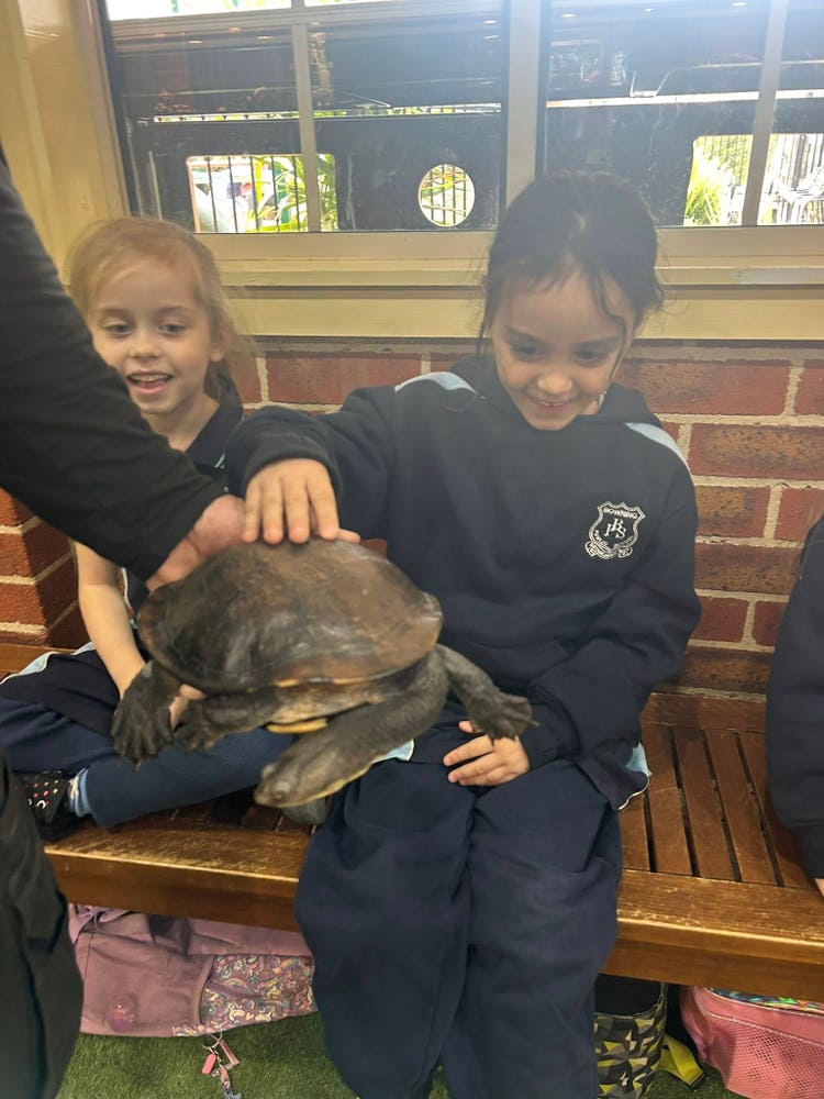 May be an image of 2 people and turtle